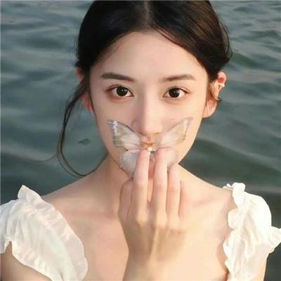 蝴蝶公墓