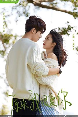 歇斯底里2017 封面图